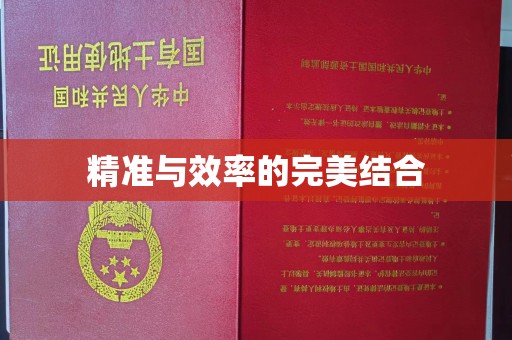 文水精准与效率的完美结合